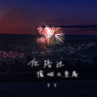 你路过像烟火坠落 - 羊羊
