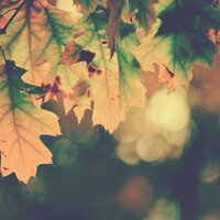 Another Fall, Another Turned Page - Behind Clouds