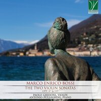 Sonata No. 1 for violin and piano in E Minor, Op. 87: I. Allegro con energia - Paolo Ghidoni & Antonio Pulleghini