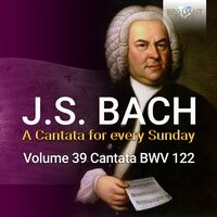 Das neugeborne Kindelein, BWV 122: II. Aria. O Menschen, die ihr täglich sündigt (Basso) - Pieter Jan Leusink & Netherlands Bach Collegium & Bas Ramselaar & Johann Sebastian Bach