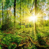 山水韵律 - 纯音乐盒