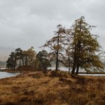 Плейлист №24 (танцы и веселье)