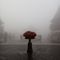 Zen Waters - Sleep Recording Sounds & Thunder Spree & Loopable Rain