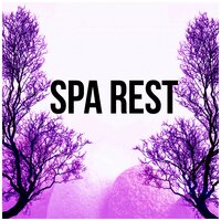 Velvet Music (Healing Touch) - Spa Massage Solution