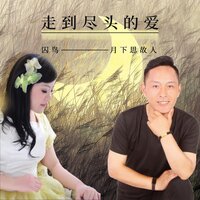 走到尽头的爱 - 月下思故人 & 囚鸟