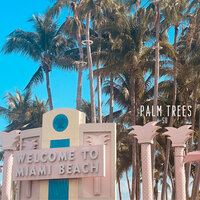 Palm Trees - Su