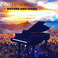 Natural Cure for Sleep - Naturopathy Music Collection & Piano Instrumental Academy