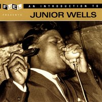 I Can't Help Myself - Junior Wells