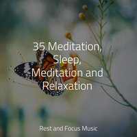 Siesta - Life Sounds Nature & Meditação Maestro & Musica Para Dormir y Sonidos de la Naturaleza