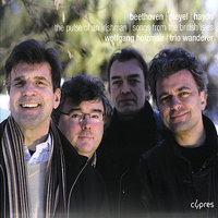 Saw ye my father - Wolfgang Holzmair & Trio Wanderer & Йозеф Гайдн
