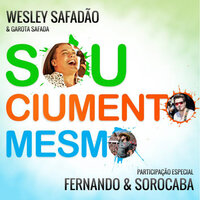 Sou Ciumento Mesmo - Wesley Safadão & Fernando & Sorocaba
