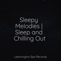 Delta Zen - Deep Sleep Music Experience & Sleep Music System & Zarobi