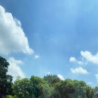 岁月浮沉 - 樱姿