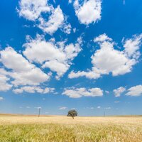 Woodwind Relaxations - Rain for Deep Sleep & Relaxed Minds & Zen Music Garden