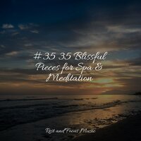 Relax - Alpha Brain Waves & Yoga Soul & Wellness