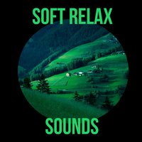 Tranquility - Oasis of Relaxation