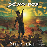A Place to Fall - X-Ray Dog