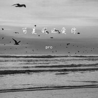 可是我还爱你 - Pro