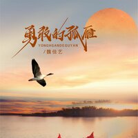 勇敢的孤雁 - 魏佳艺 & Banan