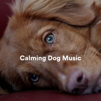 Loopable Life - Music for Calming Dogs & Music for Leaving Dogs Home Alone & Sleepy Dogs