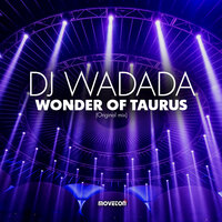 Wonder of Taurus - dj Wadada