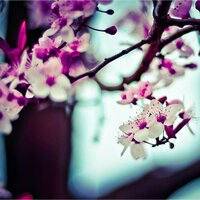 Evening Rhapsody - Studying Music & Baby Can't Sleep & Deep Sleep Relaxation