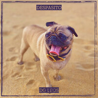 Despasito - DG Leos