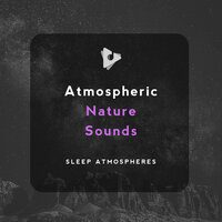 The Music of the Woods - Sleep Atmospheres & Tailormade Ocean Waves