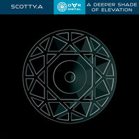A Deeper Shade of Elevation - Scotty.A