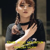 Sing Milu Ngunduh - SYAHIBA SAUFA & Dj Theplex