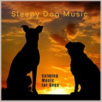 Calming Music for Dogs -3 - Sleepy Dog Music