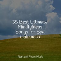 Roar of the Sea - Sleep Sound Library & Avslappning Sound & Healing Sounds for Deep Sleep and Relaxation