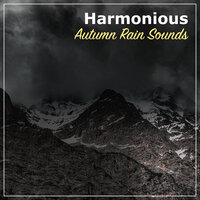 Light Drizzle - Sample Rain Library, Nature Recordings, Yoga Rain & Nature Recordings & Sample Rain Library & Yoga Rain