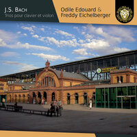 Violin Sonata in D Major, BWV 1028: II. Allegro - Freddy Eichelberger & Odile Edouard & Johann Sebastian Bach