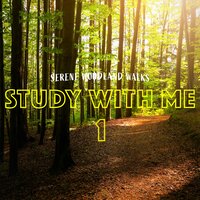 Serene Woodland Walks, Pt. 8 - Bryan Maxwell