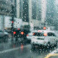 Rain and Seagulls - Kinderlieder Megastars & Sonido Del Bosque y Naturaleza & Restless Baby Music