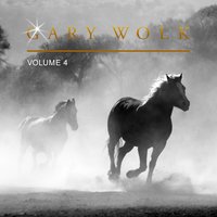 Honky - Tonk Haven - Gary Wolk