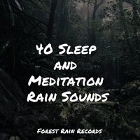 Rain on Umbrella - Binaural Beats Brain Waves Isochronic Tones Brainwave Entrainment & Regen zum Schlafen & Spa Music Relaxation