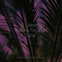 Waves of Transcendence - Academia de Música con Sonidos de la Naturaleza & Meditation Zen & Especialistas de Musica para Dormir
