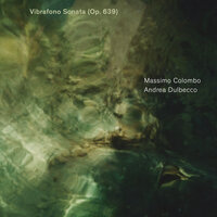 Vibrafono Sonata, Op. 639: III. Presto con ritmo - Andrea Dulbecco & Massimo Colombo