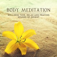 Yearning for the Wind - Spa Music Paradise Zone