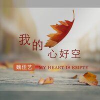 我的心好空 - 魏佳艺