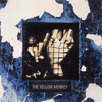 Shower of Petals - THE YELLOW MONKEY
