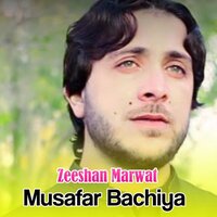 Meena De Na Kara - Zeeshan Marwat