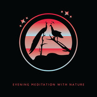 Night Symphony - Rainforest & Rain Sounds Nature Collection