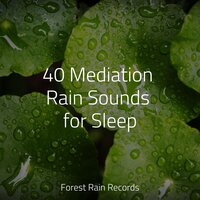 Water, Small, Creek, Close - The Rainforest Collective & Alpha Brain Waves & Entspannungsmusik Oase
