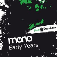 Fake in - Mono