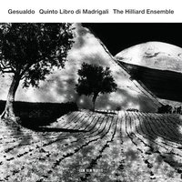 Gesualdo: Fifth Book Of Madrigals - 15. Tu m'uccidi, o crudele - Hilliard Ensemble & Джезуальдо да Веноза