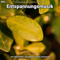 Entspannungsmusik pt. 51 - Entspannungsmusik Bea Jenges & Schlafmusik & Entspannungsmusik