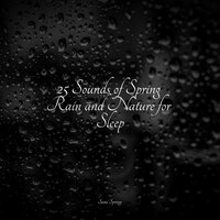 Sprinkling Drops - nature & Sounds Background & Music For Absolute Sleep & Fabricantes De Lluvia
